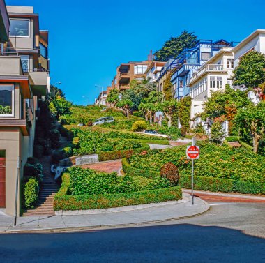 Lombard Street, San Francisco clipart