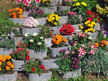 Halk bahçelerinde çiçekler