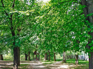 Levoca, Slovakya 'da gözcü parkı   