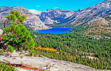 Yosemite Ulusal Parkı, Kaliforniya 'daki Tenaya Gölü