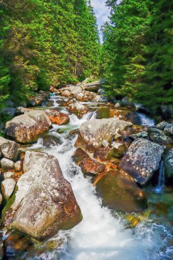 Dağ dere içinde yüksek Tatra Dağları, Slovakya