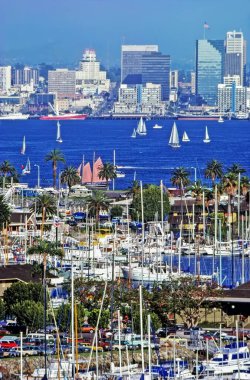 Shelter Island ve Marina ile San Diego şehir merkezi