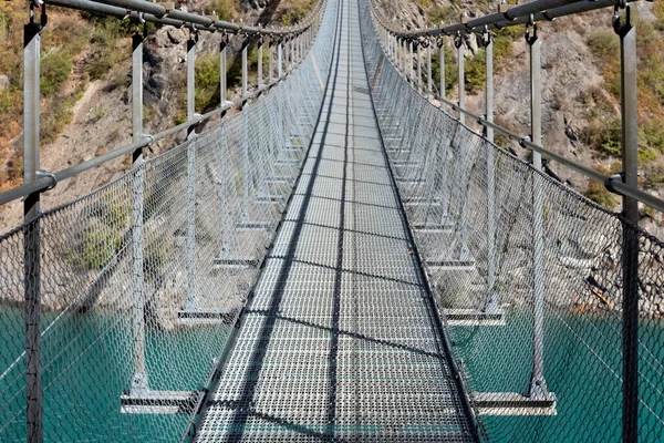 Horizontal View Himalayan Footbridge Crossing Drac Lake Monteynard France — Stock Photo, Image