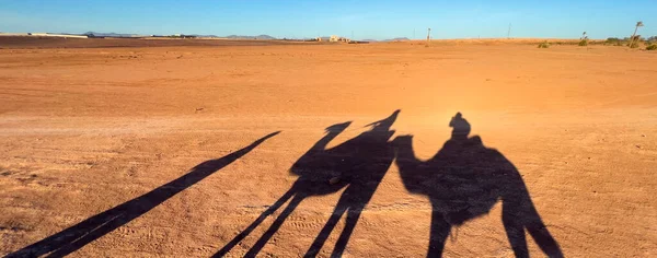 Silhouette People Camels Desert Morocco Fotos De Bancos De Imagens