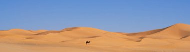 Deveyle Merzouga Çölü 'nün panoramik manzarası, Fas