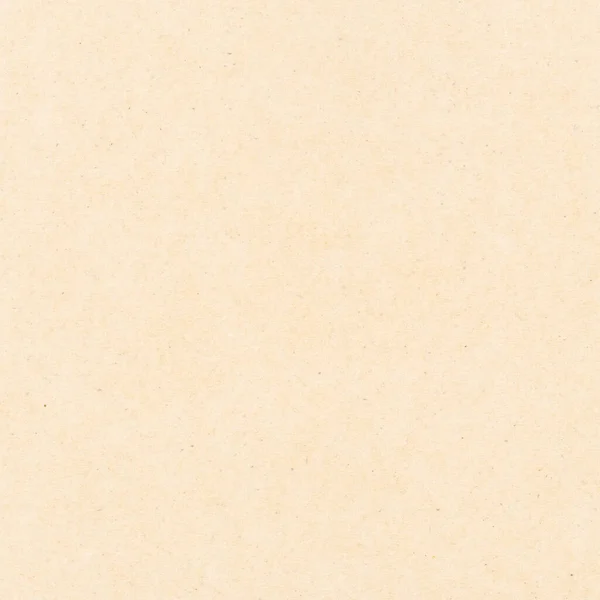 Industrial Style Light Brown Cardboard Texture Useful Background — 图库照片