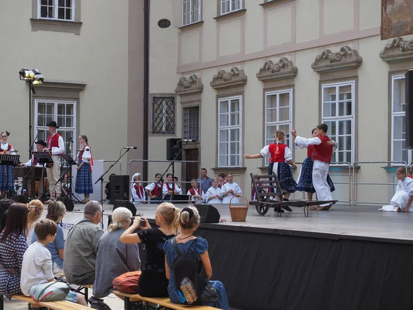 Brno Czche Republic Circa 2022年9月 Mezinarodniフォークロルニ祭翻訳国際民俗祭 — ストック写真
