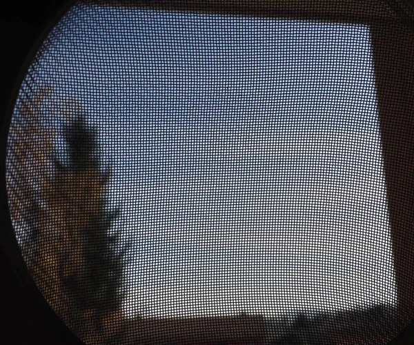 Ülkeyi Ağaçlarla Gökyüzüyle Pencerenin Üzerindeki Sivrisinek Ağıyla Görmek — Stok fotoğraf
