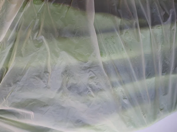 雪のエンドウ豆を半透明のビニール袋に入れて — ストック写真