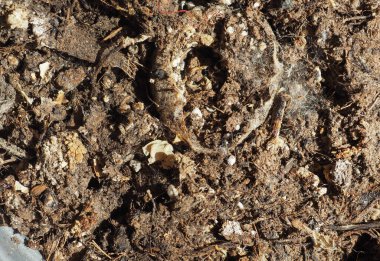 doku kahverengi dünya arka plan olarak yararlı