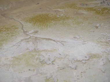 brown mud texture useful as a background