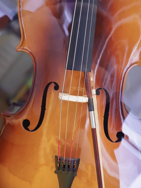 Барокова Скрипка Струнний Музичний Інструмент Бантом — стокове фото