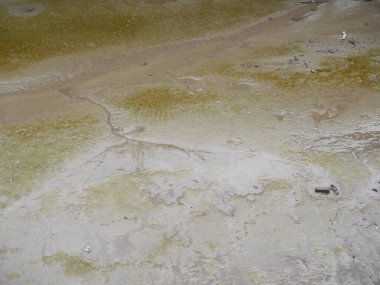 brown mud texture useful as a background