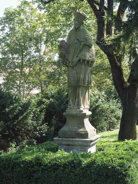 Ιωάννης Του Nepomuk Άγιος Της Βοημίας Μνημείο Στο Μπρνο Τσεχική — Φωτογραφία Αρχείου