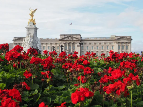Palacio Real Buckingham Londres Reino Unido — Foto de Stock