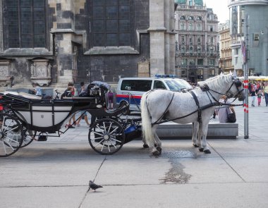 VIENNA, AUSTRIA - CRCA EPTESİ 2022: atlar ve arabalar