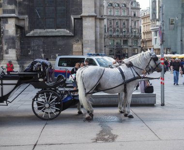 VIENNA, AUSTRIA - CRCA EPTESİ 2022: atlar ve arabalar