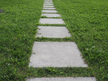 çimlerin üzerinde gri beton döşeme yolu