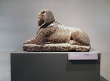 TURIN, ITALY - CIRCA DECEMBER 2022: Sphinx statue at Museo Egizio translation Egyptian Museum