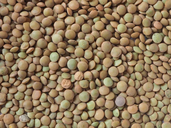 Lentils Pulse Scientific Name Lens Culinaris Legumes Vegetarian Food Useful — Stock Photo, Image
