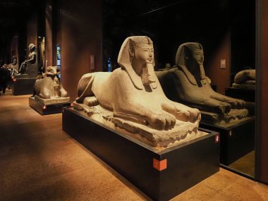 TURIN, ITALY - CIRCA DECEMBER 2022: Sphinx statue at Museo Egizio translation Egyptian Museum