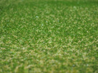 Sanayi stili Yeşil yapay çimen dokusu arka plan olarak kullanışlı