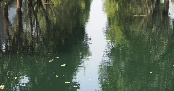 Grönt Blått Vatten Med Träd Reflektioner Användbara Som Bakgrund — Stockfoto