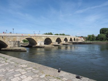 REGENSBURG, GERMANY - CIRCA HAZİRAN 2022: Tuna Nehri manzarası
