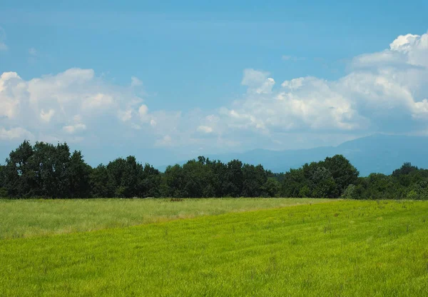 Weide Met Bomen Bewolkte Blauwe Lucht Nuttig Als Achtergrond — Stockfoto