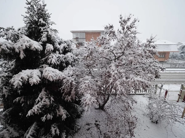 Kışın Yoğun Kar Altında Ağaçların Olduğu Sahne — Stok fotoğraf