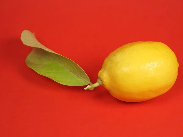 Citron Över Röd Bakgrund Med Kopieringsutrymme — Stockfoto