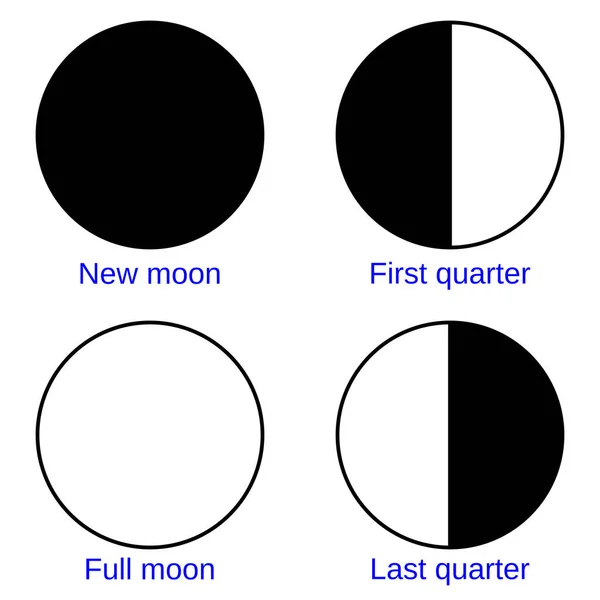 Фазы Луны Новолуние Первая Четверть Полная Луна Последняя Четверть — стоковый вектор