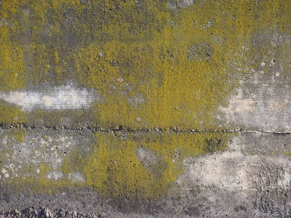 Industrial Style Grey Concrete Texture Useful Background — Stock fotografie