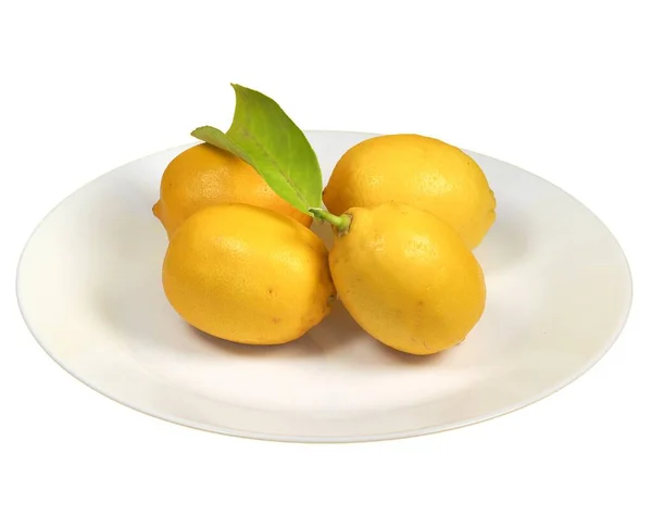 Čtyři Citrony Misce Izolované Přes Bílé Pozadí — Stock fotografie