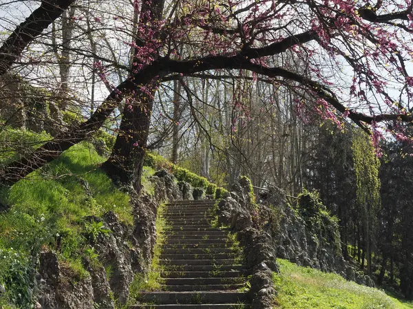 Escadaria Pitoresca Parque Junto Rio Turim Itália — Fotografia de Stock
