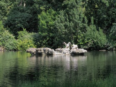 Hayvan sınıfından kuşların büyük beyaz pelikan bilimsel adı Pelecanus
