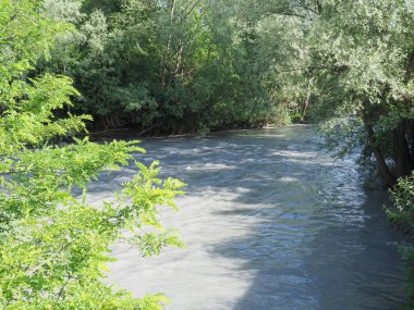 Ağaçlar arasında su yansıtmalı nehir akıntısı doğal bir arkaplan olarak kullanışlıdır