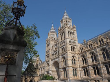 Londra, İngiltere 'deki Güney Kensington Doğal Tarih Müzesi.