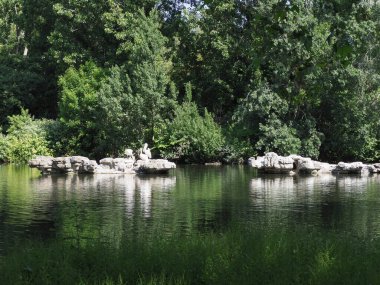 Hayvan sınıfından kuşların büyük beyaz pelikan bilimsel adı Pelecanus