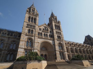 Londra, İngiltere 'deki Güney Kensington Doğal Tarih Müzesi.