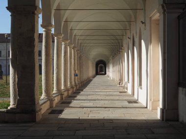 La Certosa Collegno, İtalya 'daki eski manastır ve akıl hastanesi.