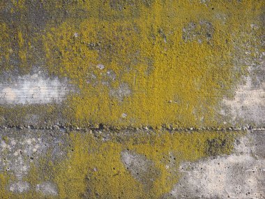 Sanayi tipi gri beton dokusu arka plan olarak kullanışlı