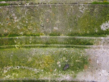 Eskimiş gri beton, yosun dokusu arka plan olarak kullanışlı.