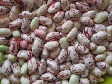 Kırmızı fasulye, arkaplan olarak kullanışlı sıradan fasulye çeşitleri