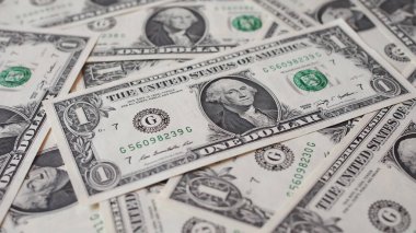 Birleşik Devletler 'in bir dolarlık para birimi.