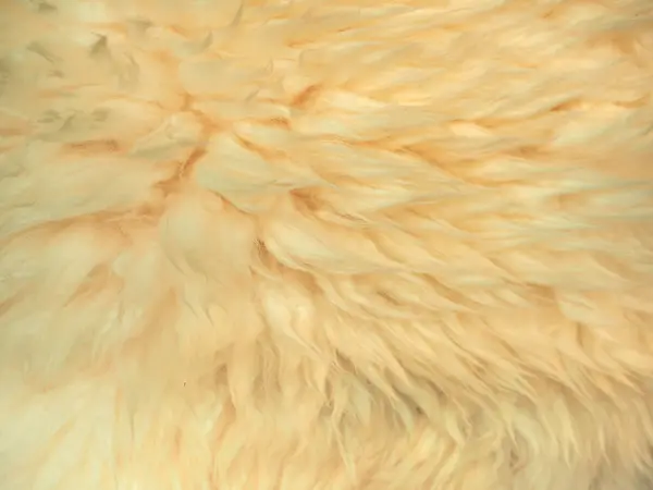 Tessuto Lana Bianca Texture Utile Come Sfondo — Foto Stock