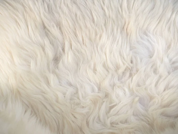 Textur Aus Weißer Wolle Nützlich Als Hintergrund — Stockfoto