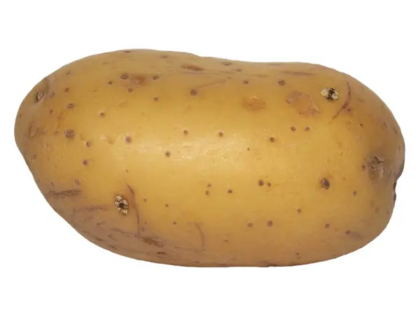 Potato Scientific Name Solanum Tuberosum Vegetables Vegetarian Food Isolated White — Zdjęcie stockowe