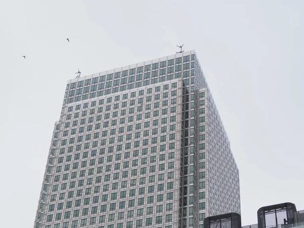 London Czerwca 2023 Centrum Biznesowe Canary Wharf — Zdjęcie stockowe