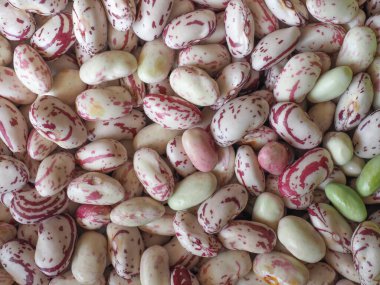 Kırmızı fasulye, arkaplan olarak kullanışlı sıradan fasulye çeşitleri